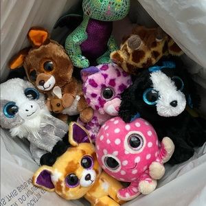20 + Beanie boos variety box